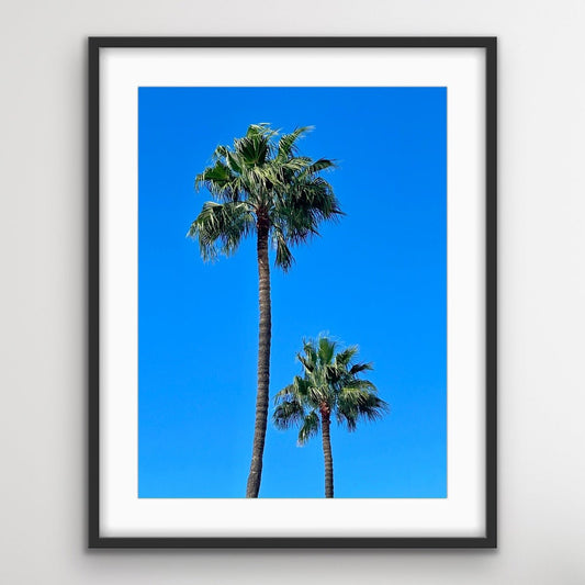 Photo print "Palm trees of California"