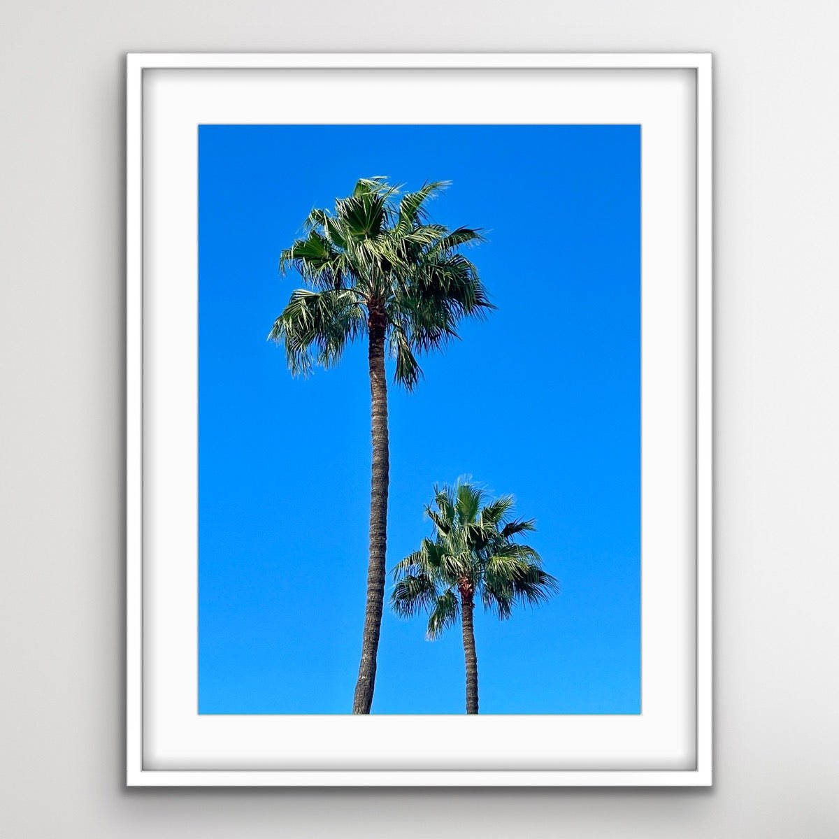 Photo print "Palm trees of California"